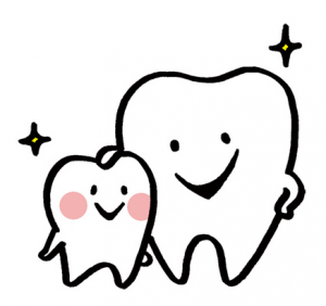 きれいな歯