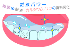 唾液の力